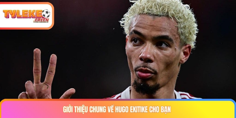 Giới thiệu chung về Hugo Ekitike cho bạn
