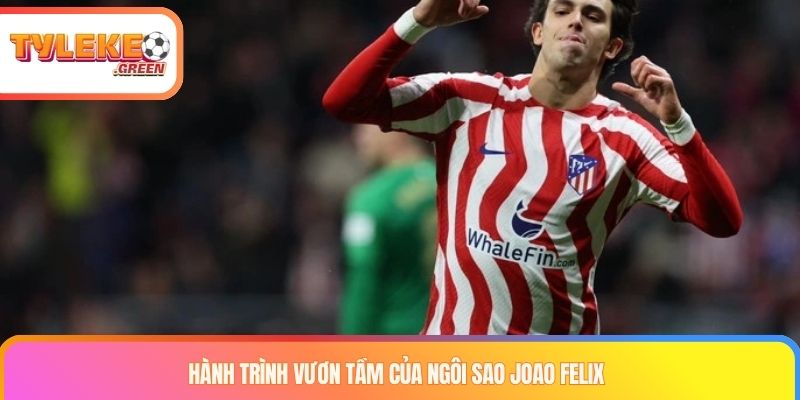 Hành trình vươn tầm của ngôi sao Joao Felix